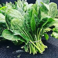 KUNDE (COULD) PER KG