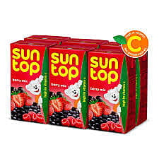 SUNTOP BERRIES 125ML