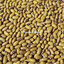 YELLOW BEANS PER KG