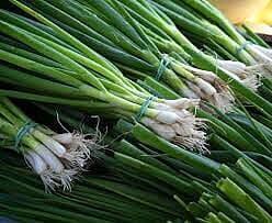 SPRING ONIONS PER KG