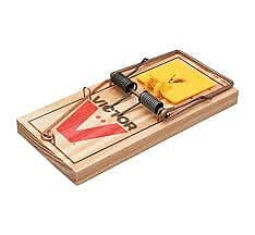 RAT TRAP