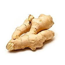 GINGER
