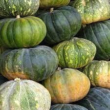 PUMPKIN